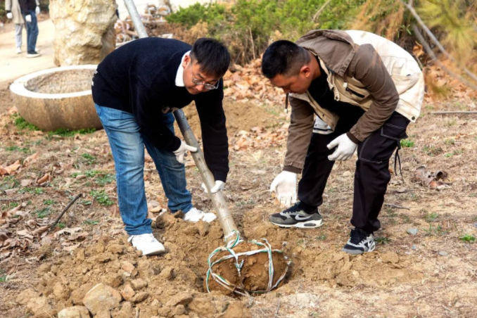 春風十里，植下一片綠 | 瑞源控股集團開展2023年植樹節系列活動